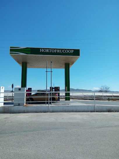 Gasolinera Hortofrucoop